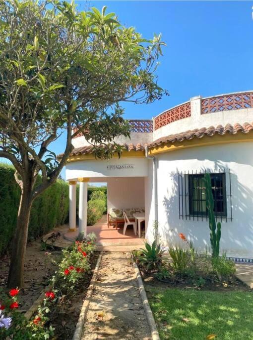 Tierra Del Sur Βίλα Conil De La Frontera Εξωτερικό φωτογραφία